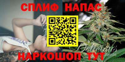 герыч Гатчина