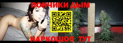 apvp Гагарин