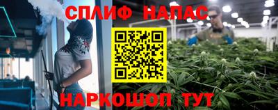 apvp Гагарин