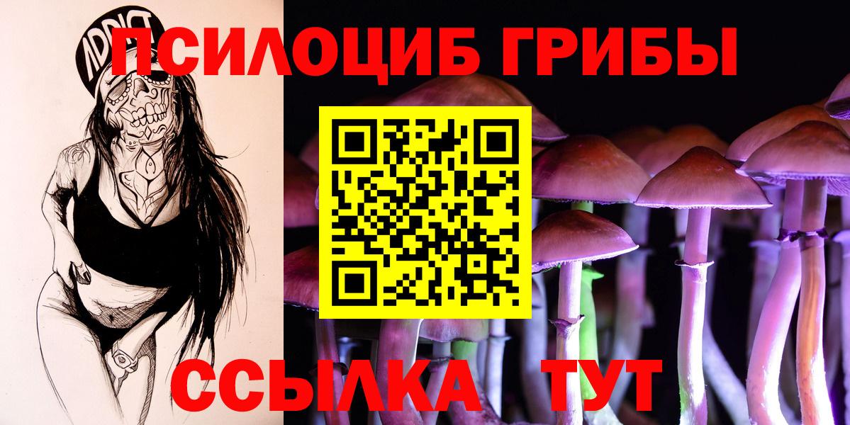 Псилоцибиновые грибы GOLDEN TEACHER Мирный