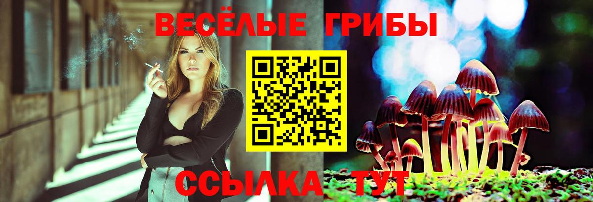 Галлюциногенные грибы GOLDEN TEACHER  купить   Мирный  Галлюциногенные грибы мухоморы  Вход с VPN 